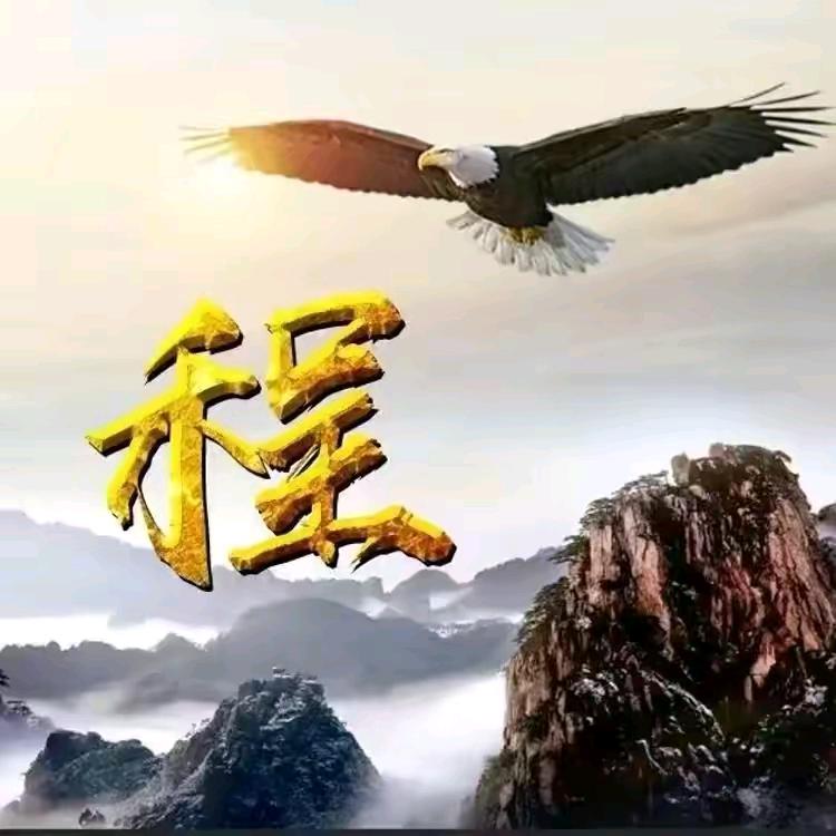 程哥