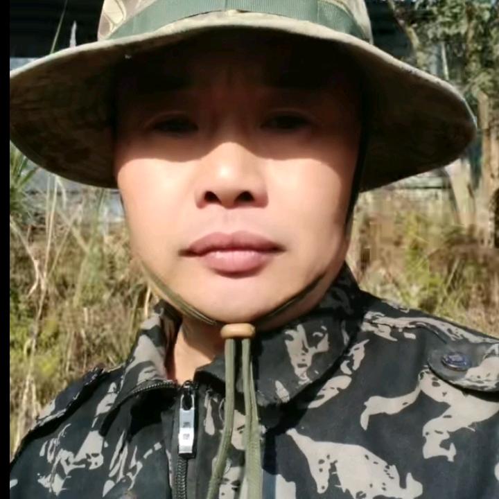 源泉石蛙
