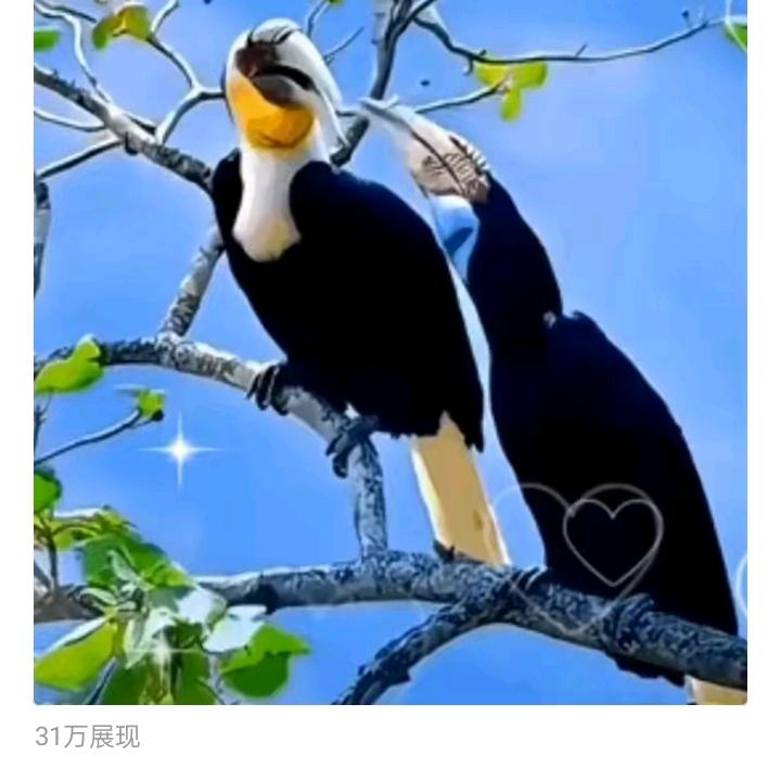 新时代