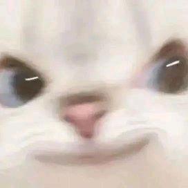 得吃（地铁逃生）