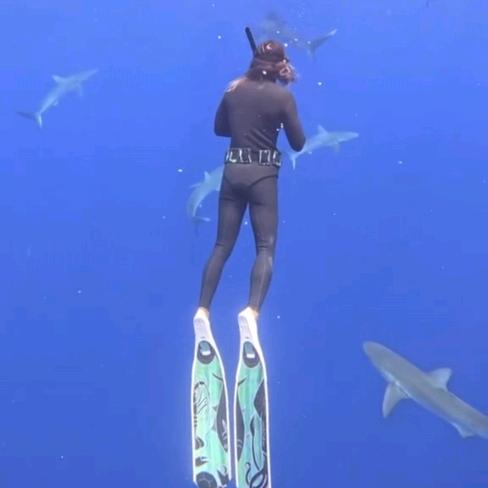 海底捕手