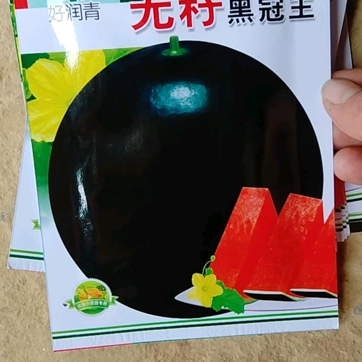 宝中宝