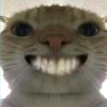 小老鼠