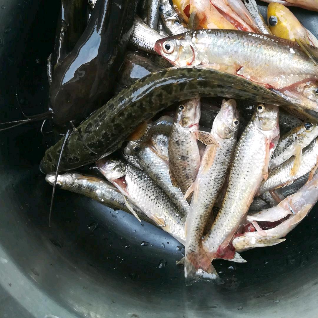 单身伟业牌铝材