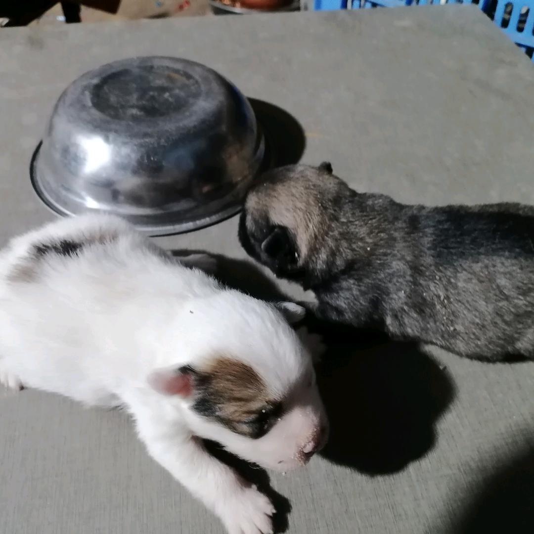 你不理我，我不理你