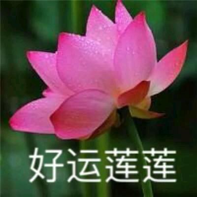 心想事成