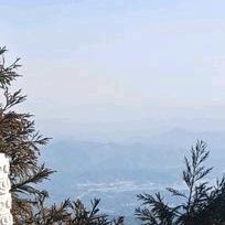 牛品改良益阳小哥