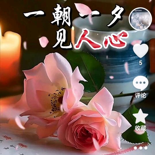 无，问，
