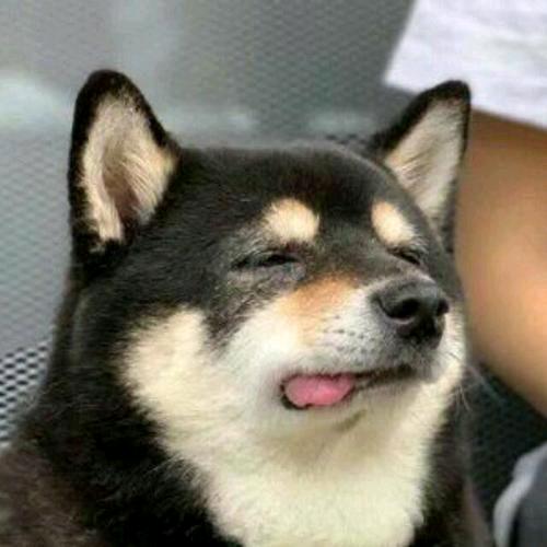 Oxygen头像