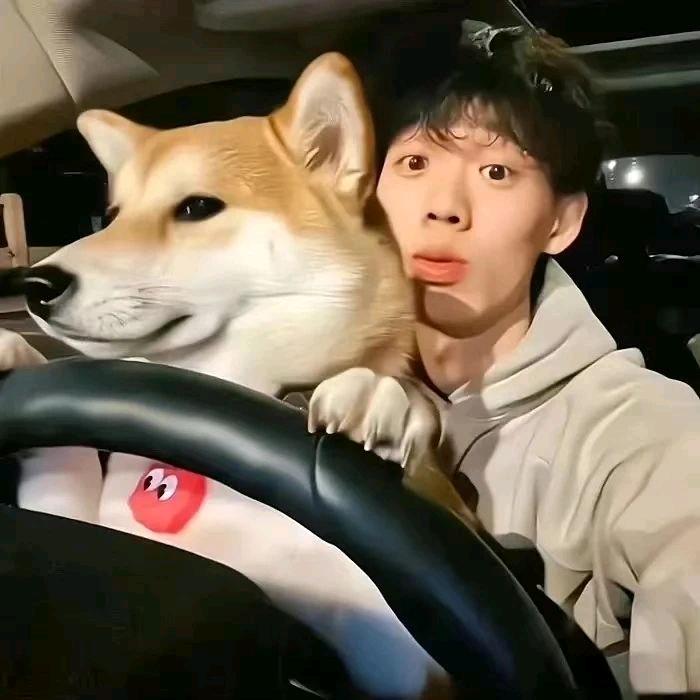 苦瓜大王