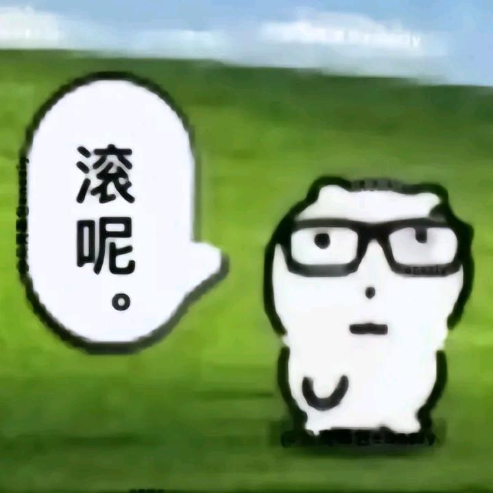 叫我十三大王