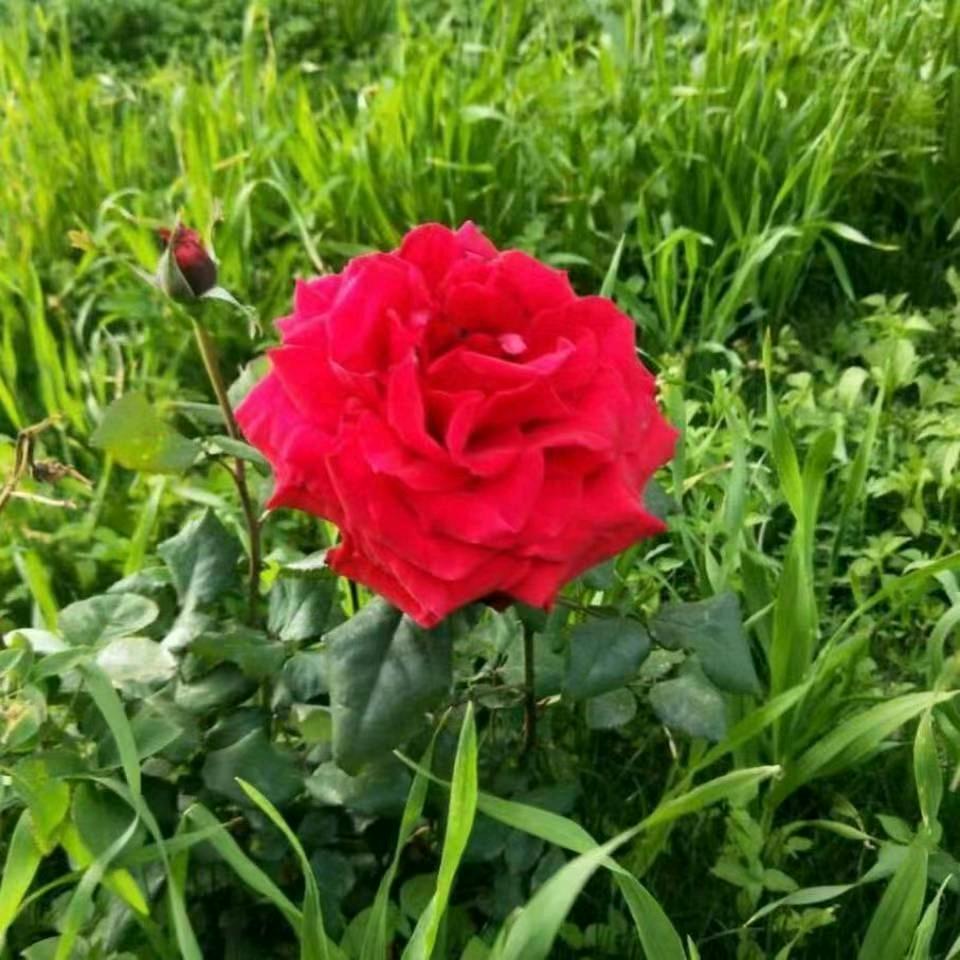 დ朱ꦿ໌້࿐໌້ᮨ💕