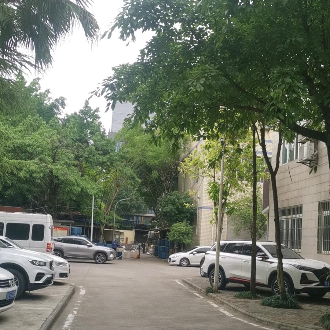 灰吉尔帅～杰绅Sts