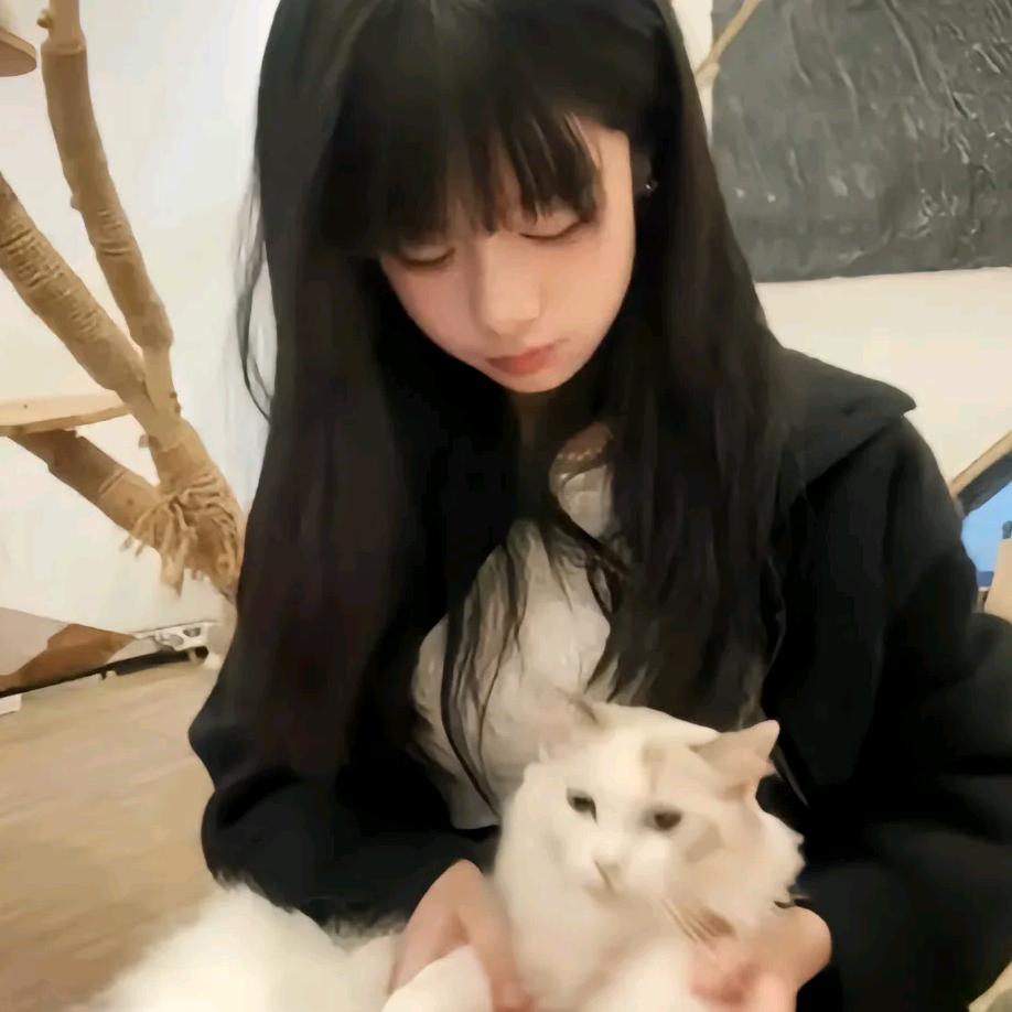 🔆
