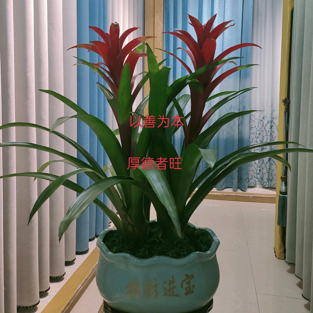 施洞窗帘批发中心
