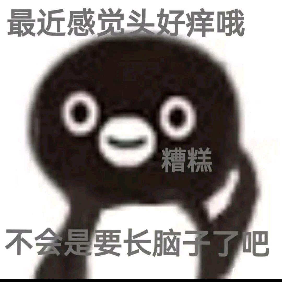 晋小斐呀～