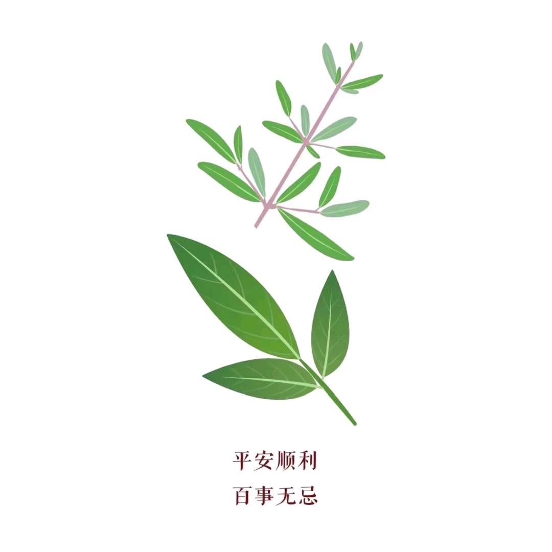 এ᭄每日在线ོ࿐