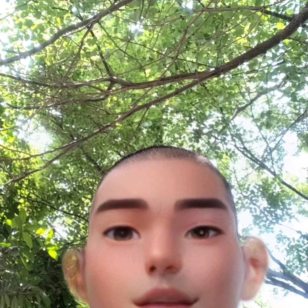 梦想成真
