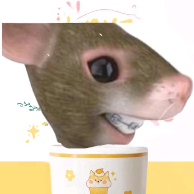 鼠鼠（暗区突围）