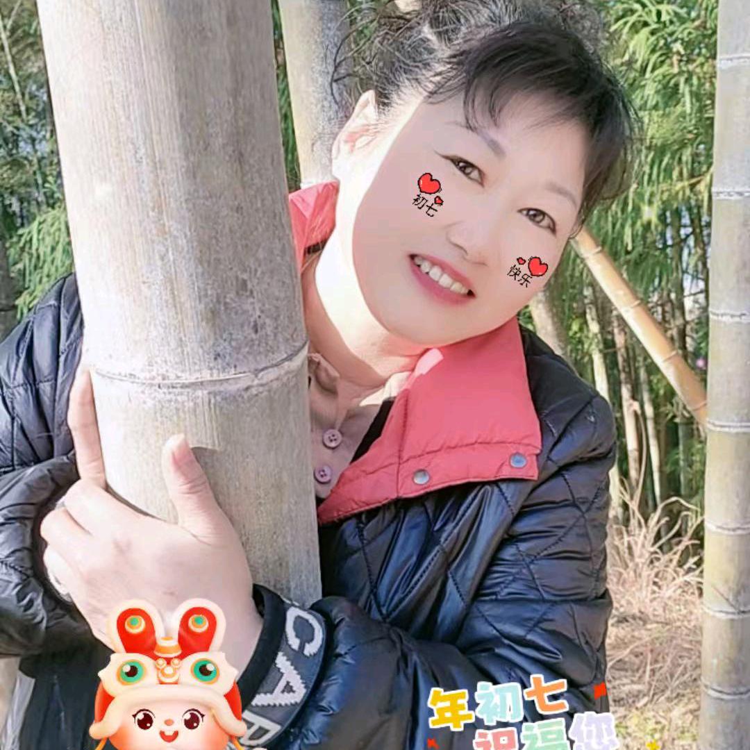 冬天的梅