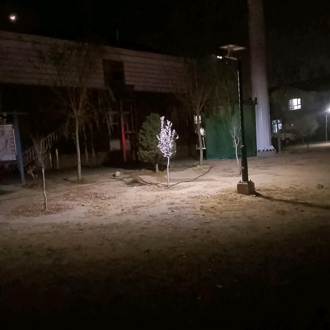三十三两
