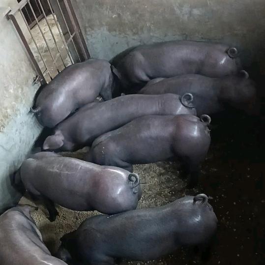 用户16208u611927272