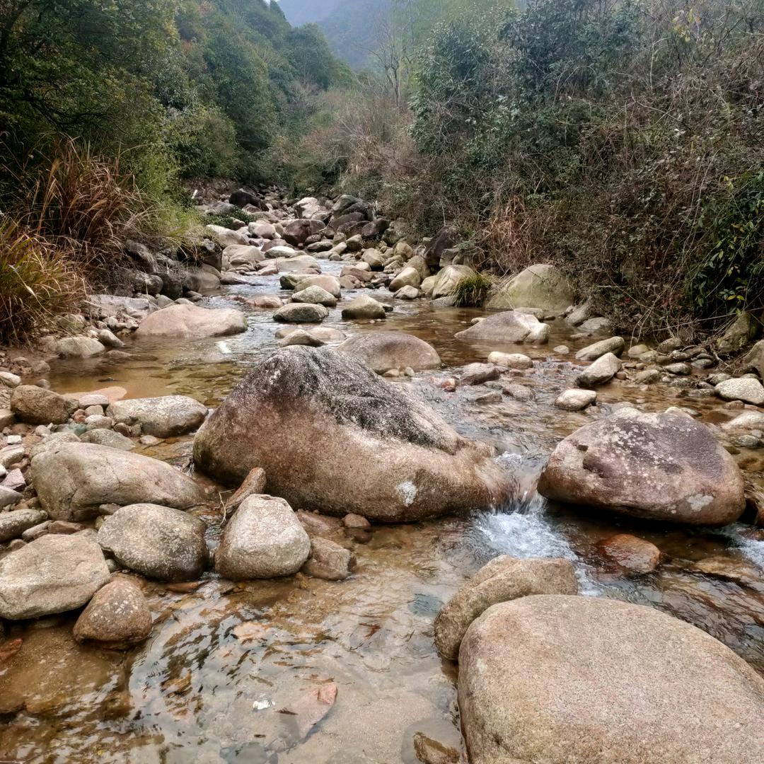 会喷水的杰尼龟