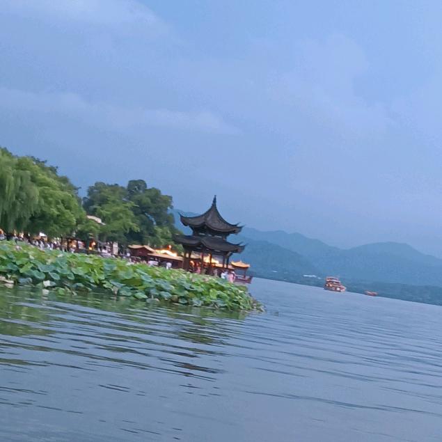 清晨