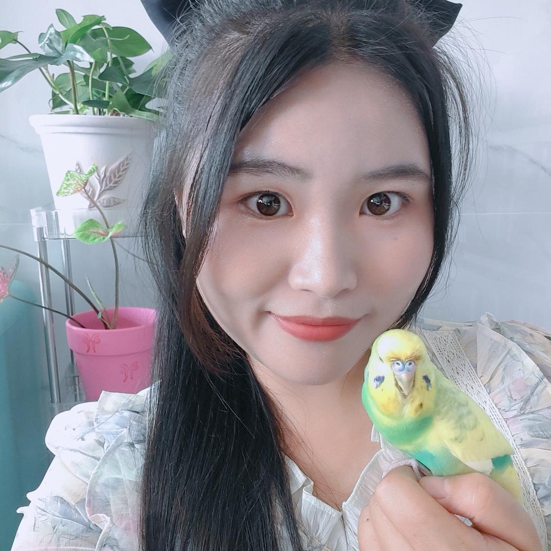 酱酱紫668（种菜版）