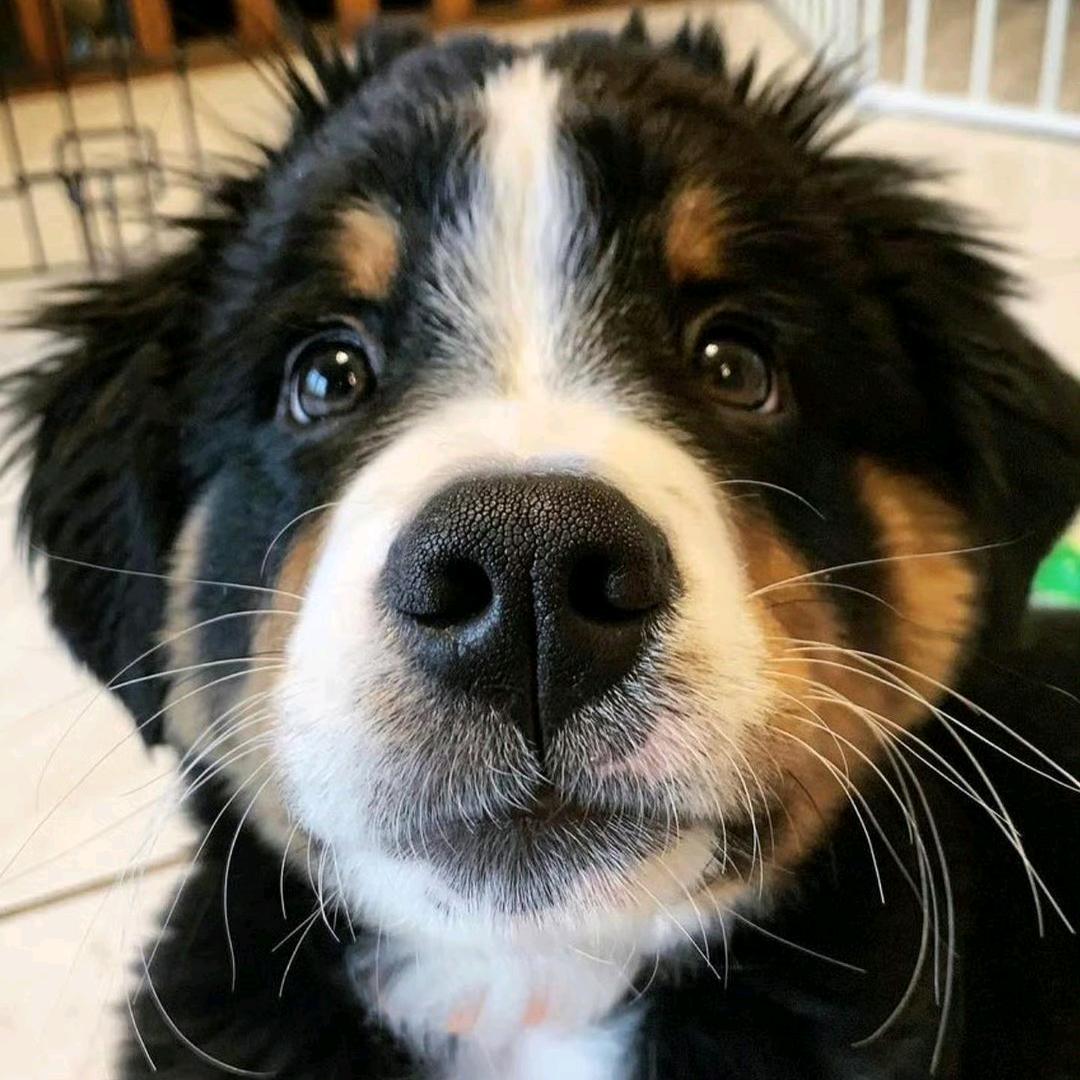 每天要睡十小时