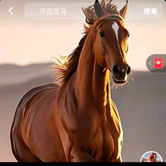 十三哥