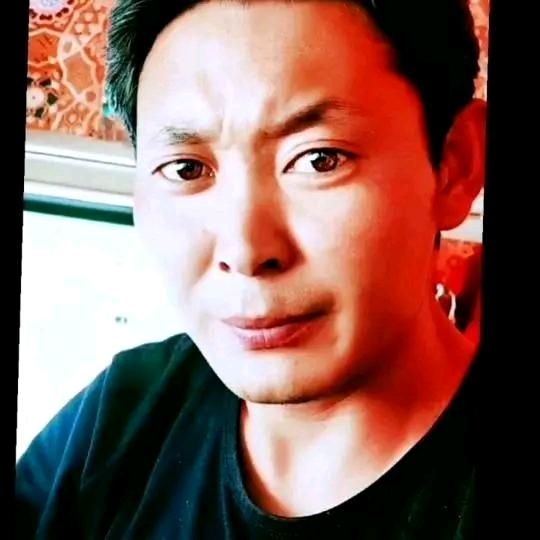 自由飞翔