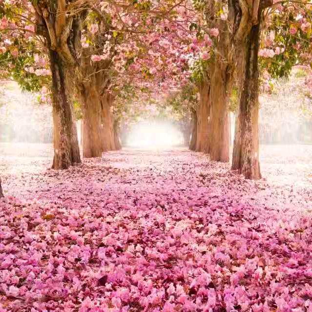 德顺牛肉面官方号