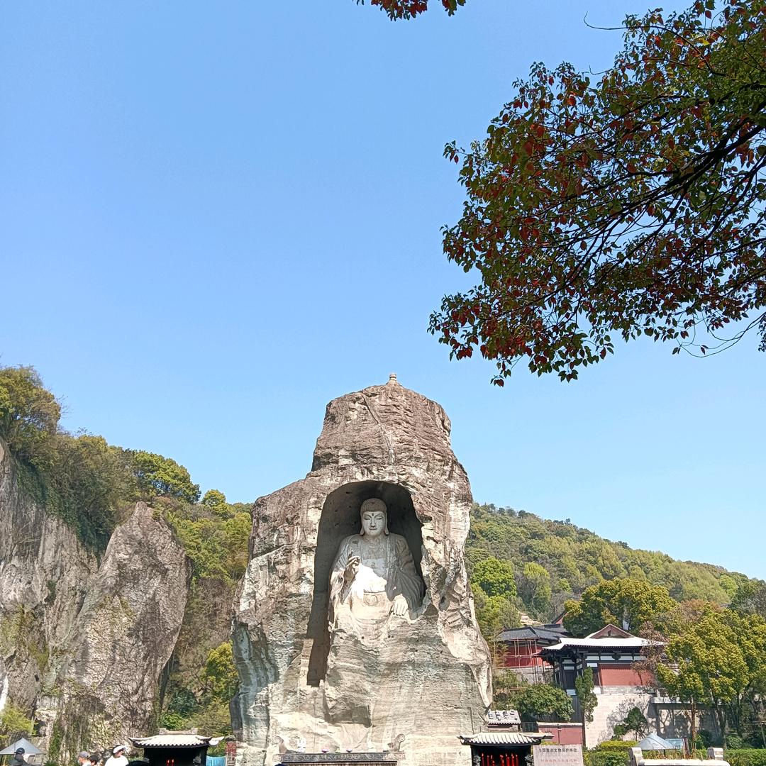 随他去
