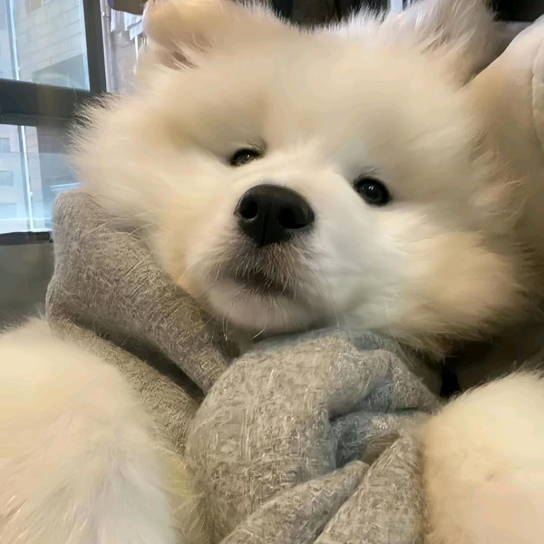 𝓦𝓮𝓵𝓬𝓸𝓶𝓮 𝓽𝓸 𝓜𝔂 𝔀𝓸𝓻𝓵𝓭