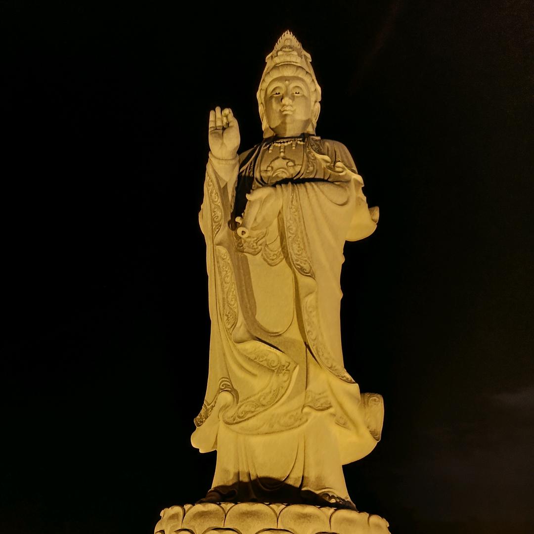 单身黑玫瑰侠客