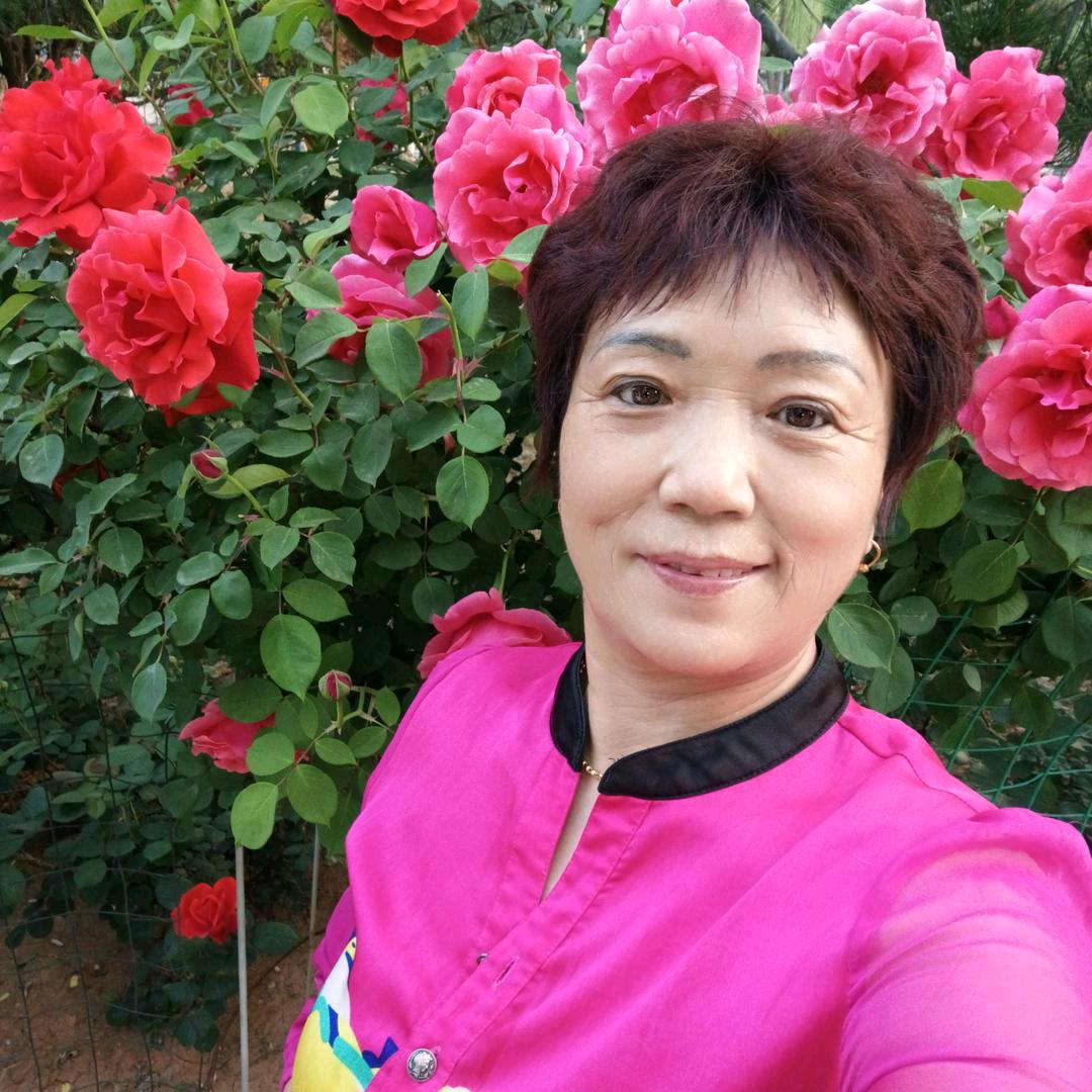 小糊涂仙