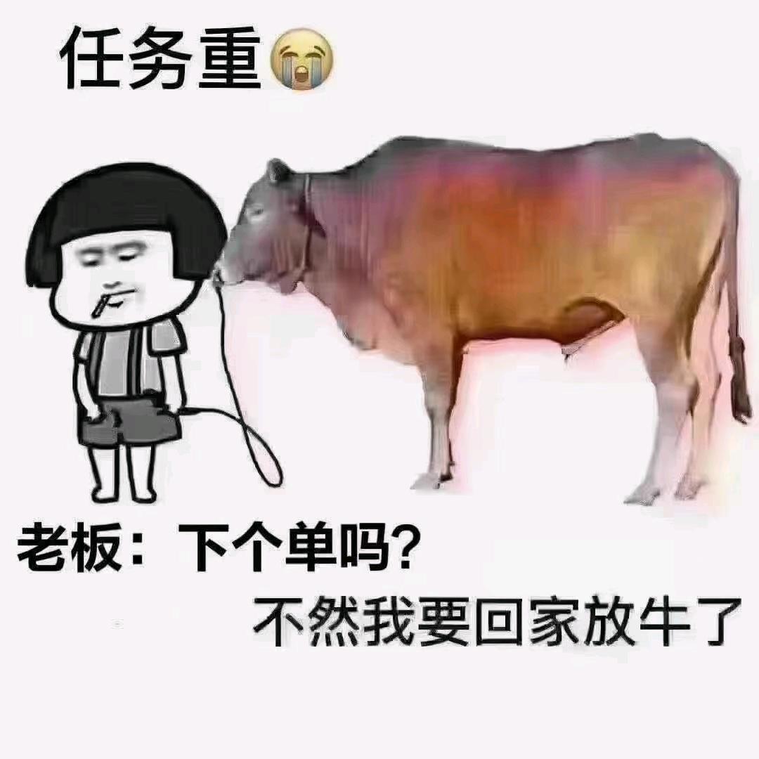 玫瑰