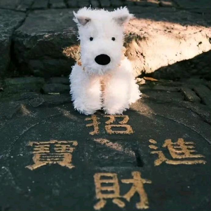 谦谦柠檬大王