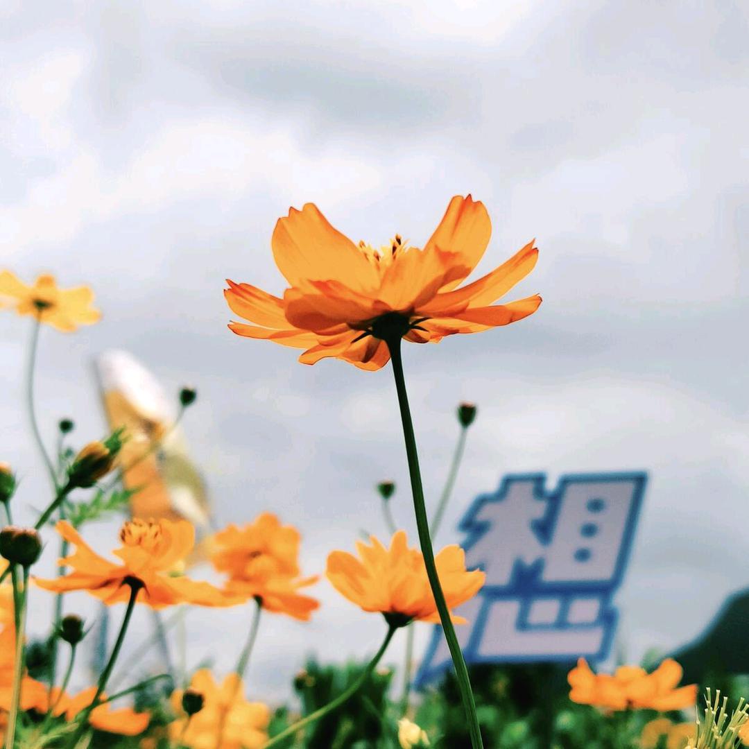 始终如一