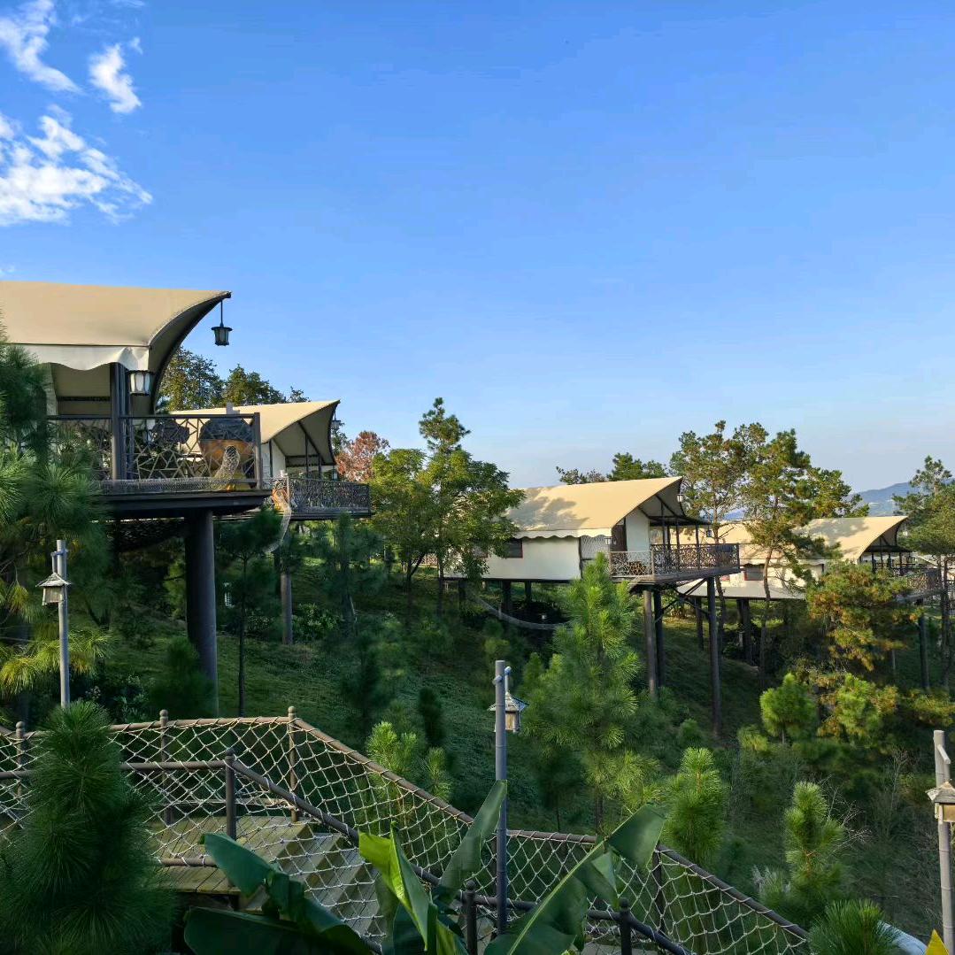 龙恒豪