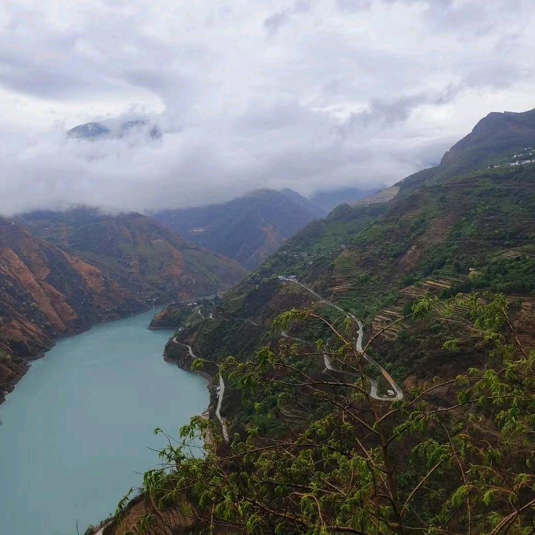 小张说山货