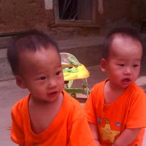 双子图文优选