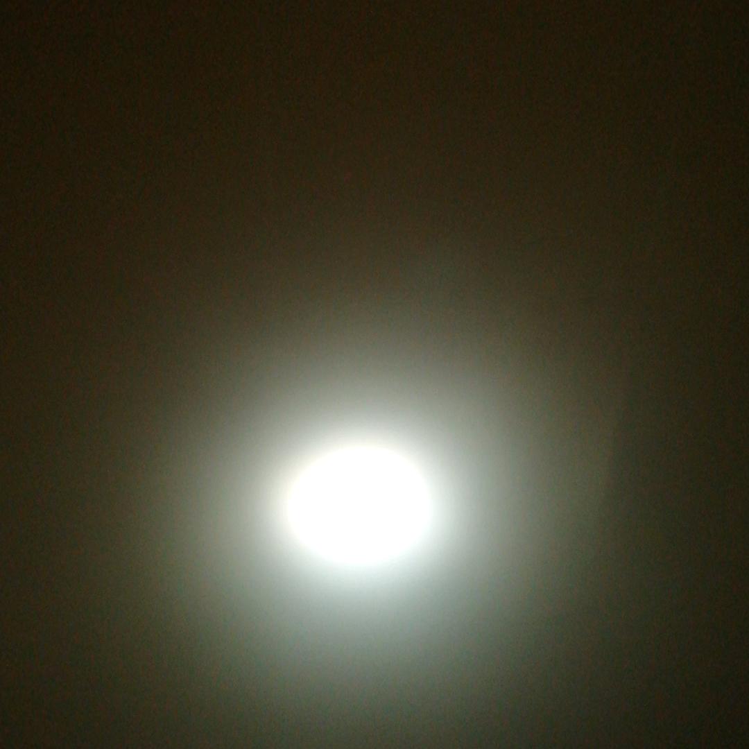 风。吹