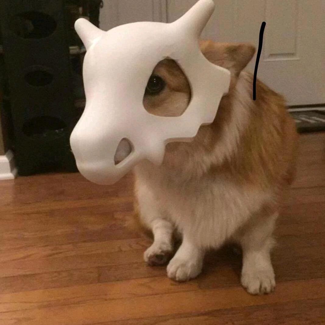 你我山巅自相逢🚶.