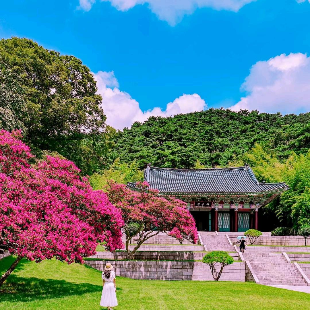 -  御树、临峰    🍁