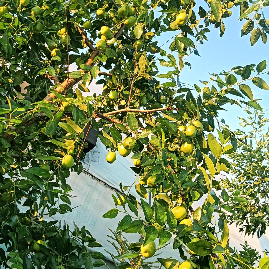 男人难做个好男人更难