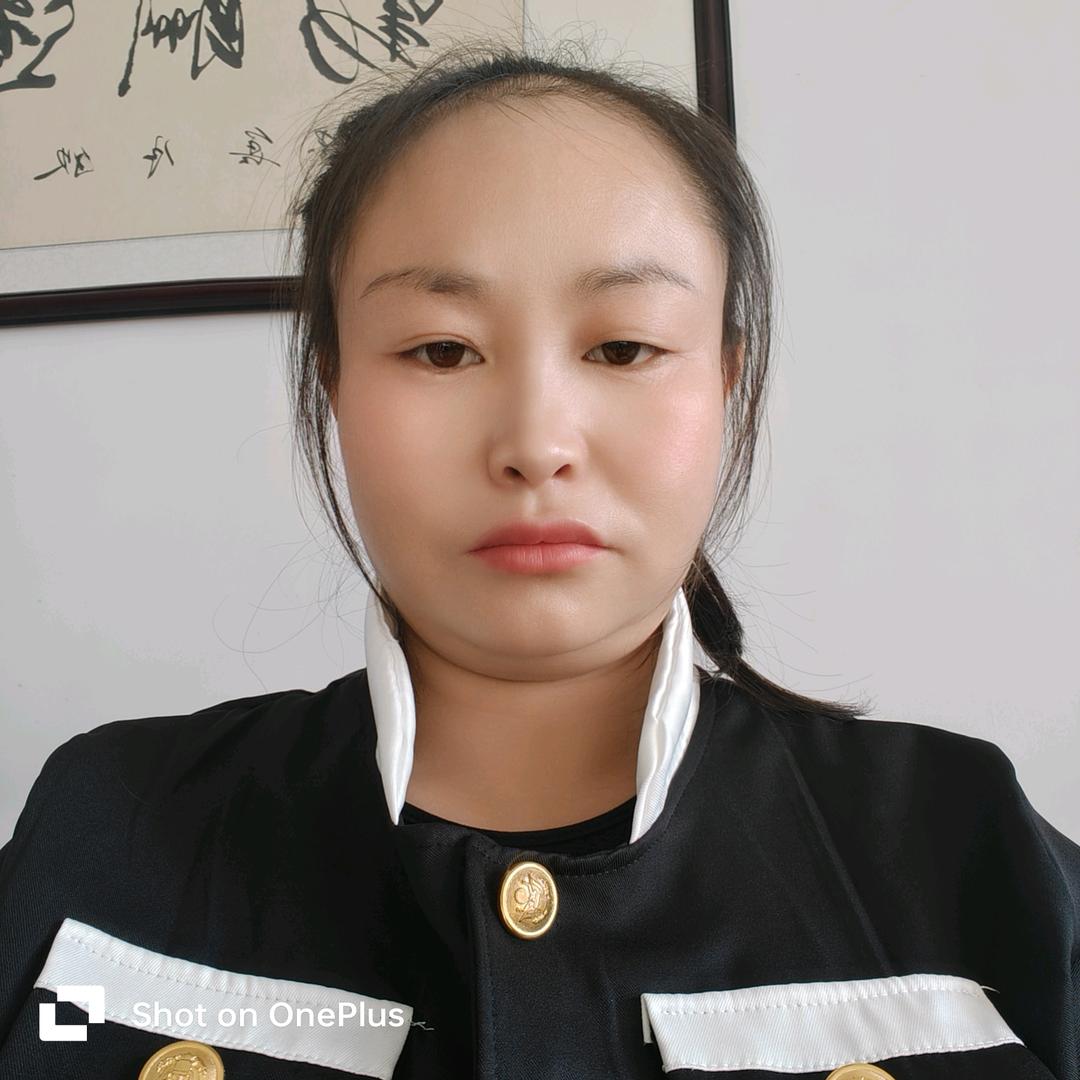 小菊
