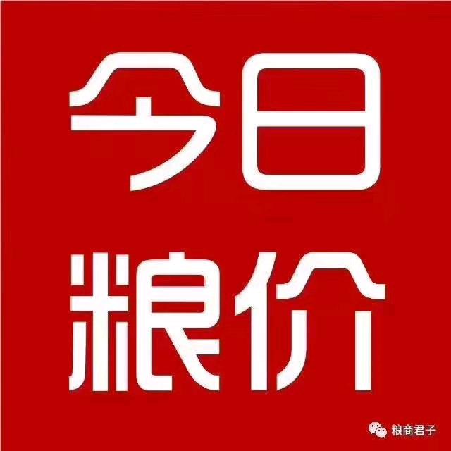 孟州酒精厂专业接货 上门装货 -李磊