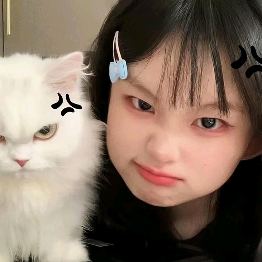 猴子lao月